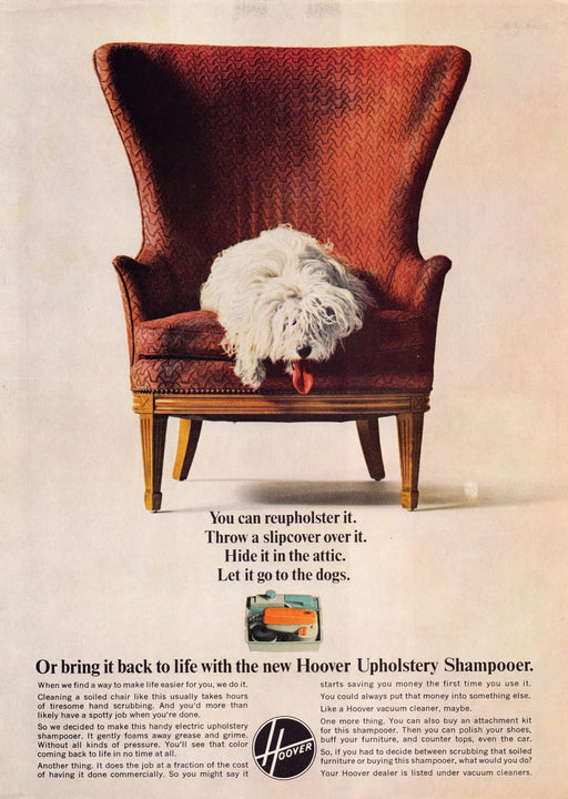 1960s Hoover Household Shampooer White Komondor Dog Print Advertisement Ad 1965
