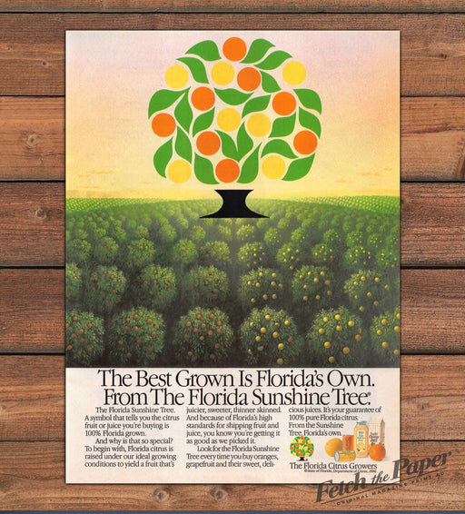 1987 Florida Citrus Growers Sunshine Tree Juice Print Advertisement Ad