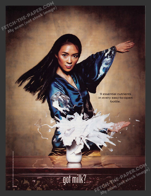 2000s Print Advertisement Got Milk? Karate Zhang Ziyi Actress Ad 2002