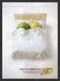 2000s Trident Green Apple Fusion Gum Apples in Bed Print Advertisement Ad 2006