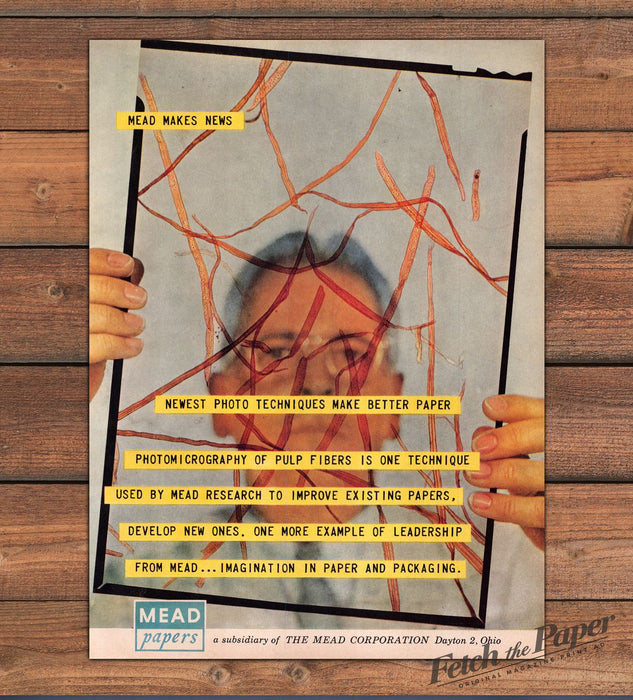 Mead Papers Mead Makes News Pulp Fibers Photomicrograph Print Ad 1959 1950s