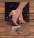 Brown Shoe Company Footworks 1980s Print Advertisement Ad 1985 Legs
