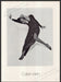 Calvin Klein Clothing Iman Super Model 1980s Print Advertisement Ad 1982 UK Legs Fetch the Paper!