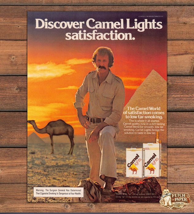 Camel Lights Cigarettes Giza Pyramid Camel Low Tar Print Ad 1979 1970s