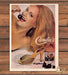 Candie's Too 1970s Print Ad