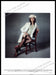 Celine Simon G. Falke 2010s Magazine Print Ad 2012 Legs Vintage Nurse Stockings Celine