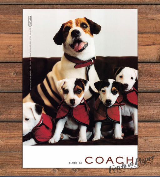 Coach Jack Russell Terrier Puppies Red Dog Jackets Collar Print Ad 1999 1990s