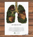 Conservation International Forest Lungs Lost There Felt Here Print Ad 2008 2000s