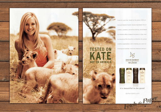David Babaii Wildaid 2000s Print Advertisement (2 pages) 2008 Lion Cubs Hudson