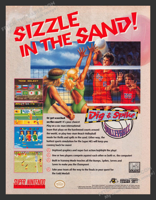 Dig & Spike Volleyball Video Game 1990s Print Advertisement Ad 1993