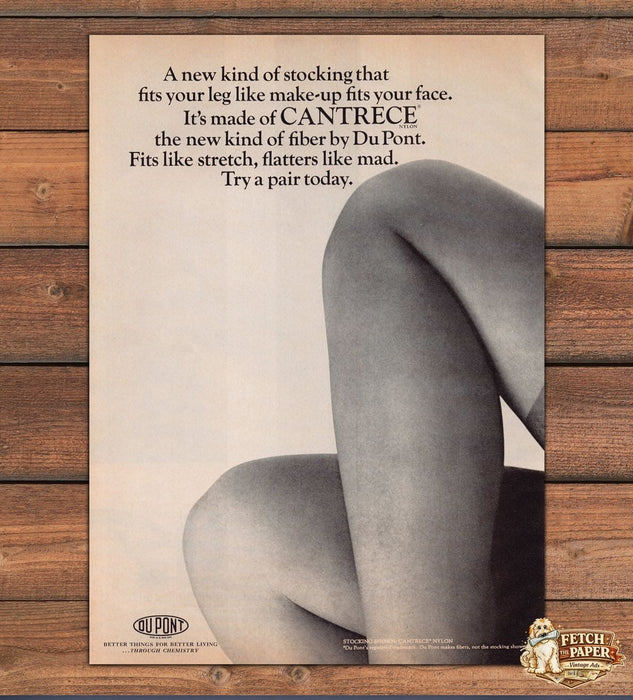 Du Pont Cantrece Nylon Stocking Bare Legs Close-Up Hosiery Print Ad 1966 1960s