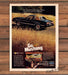 Ford Mustang II Ghia Black Gold Break From Problems Print Ad 1977 1970s