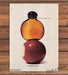 Halston For Men Irresistible Cologne Red Apple Print Ad 1986 1980s