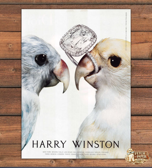 Harry Winston Parrots Birds Jewelry 2000s Print Ad