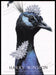 Harry Winston Print Advertisement Ad 2007 Fetch the Paper!