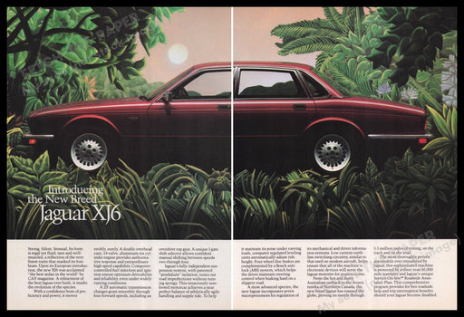 Jaguar XJ6 Car 1980s Print Advertisement (2 pages) 1987 Jungle Fetch the Paper!