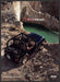Jeep Wrangler 2000s Print Advertisement Ad 2006 Cliff Spring Water Fetch the Paper!