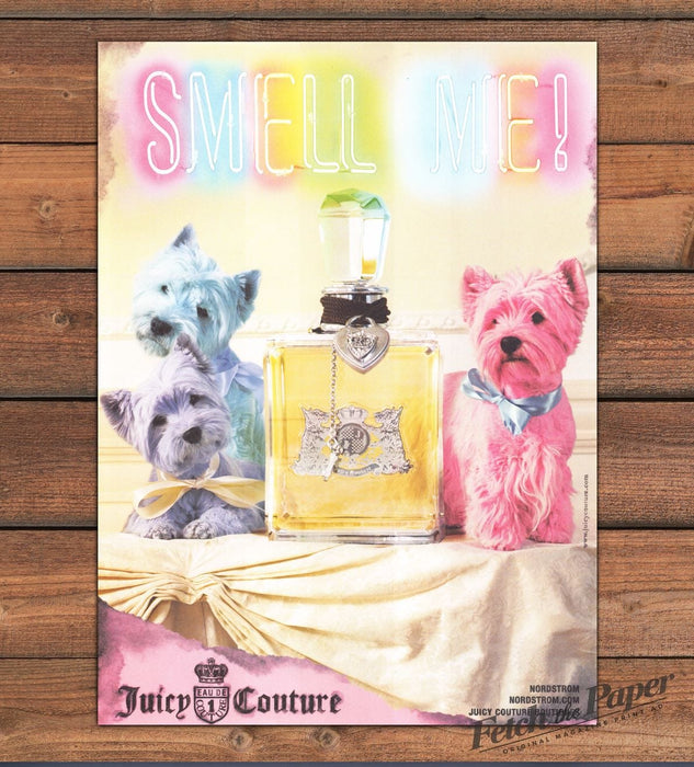 Juicy Couture Scottish Terrier 2000s Print Advertisement 2007 (See Description)