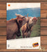 Kodak Gold Film Show True Colors Cows Switzerland Print Ad 1991 1990s