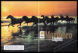 Marlboro Cigarettes Sunset 1990s Print Advertisement (2 pages) 1993 Fetch the Paper!