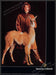 Nazareno Gabrielli Coats Alpaca 1980s Print Advertisement Ad 1982 Fetch the Paper!