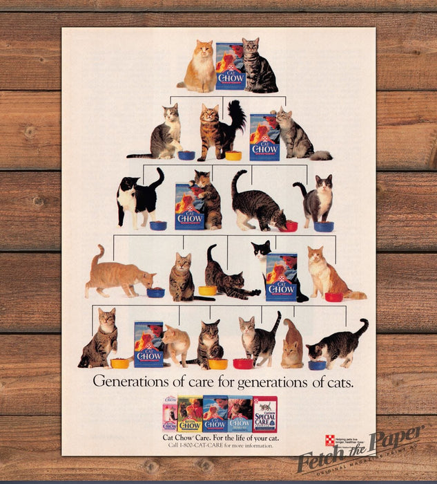 Purina Cat Chow Generations Cats Family Tree Pyramid Pet Print Ad 1993 1990s