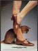 Russell & Bromley Shoes 1980s Print Advertisement Ad 1982 Legs Brown Cat Fetch the Paper!