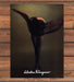 Salvatore Ferragamo Hosiery Legs Crossed Heels Sheer Scarf Print Ad 1998 1990s