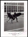 Sandro Paris 2010s U.K. Magazine Print Ad 2013 Surfers Dressed Up Guys Streets