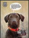 Silver Creek Chesapeake Bay Retriever Dog 2000s Print Advertisement 2002 Fetch-the-Paper