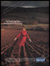 Spiegel 1980s Print Advertisement Ad 1989 Fetch the Paper!