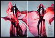 Taylor Warren 2010s Magazine Photo (2 page) 2012 Legs Sexy Model Taylor Warren