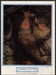 Tommy Nutter Clothing 1980s Print Advertisement Ad 1982 Open Shirt Male Model Fetch the Paper!