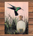 Vanilla Fields Perfume For Women Hummingbird Fragrance Print Ad 1995 1990s