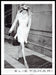 White House Black Market 2010s Print Advertisement 2010 Legs Sidewalk Working Fetch-the-Paper