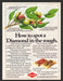 1984 Diamond Walnuts of California Illustrated Print Advertisement Ad