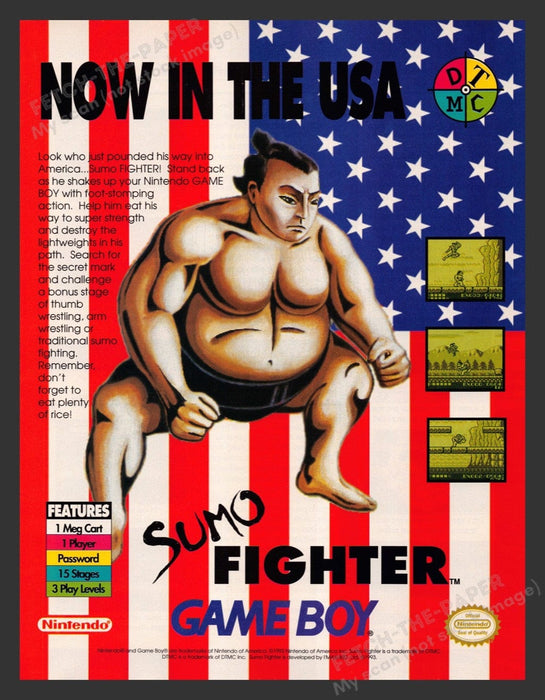 1993 Sumo Fighter Video Game Print Advertisement