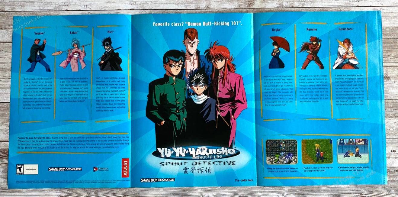 2003 Yu Yu Hakusho Fold-Out 10.5" x 22.5" Video Game Poster from Magazine Fetch the Paper!