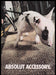 Absolut 2000s Print Advertisement Ad 2002 Fetch the Paper!