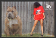 2007 Blue Sage Clothing Bully Loaded Pitbull Dog Print Advertisement (2 Pages).