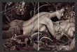 2005 Print Advertisement 2 Page Calvin Klein Jeans Clothing Sexy Couple Ad.