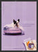 2007 Print Advertisement Cesar Dog Food French Bulldog Ad.