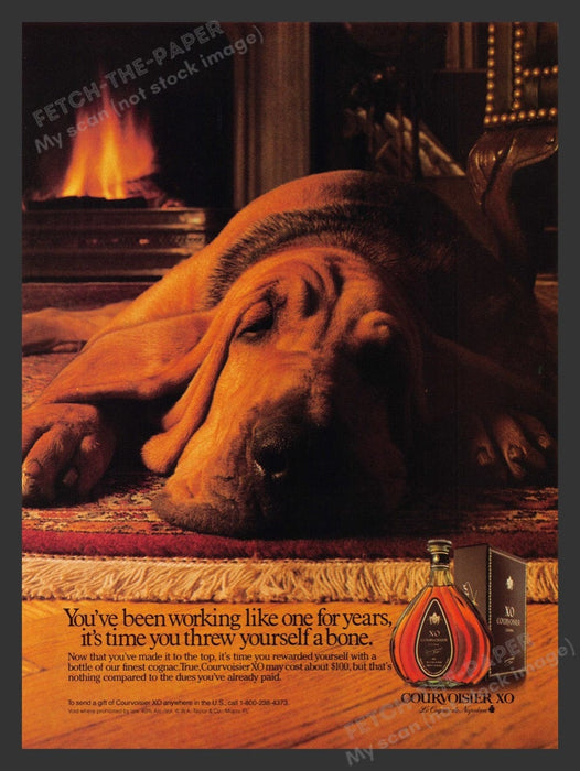 1989 Courvoisier XO Bloodhound Dog by Fire Holiday Print Advertisement Ad