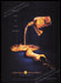 Crown Royal 2000s Print Advertisement Ad 2002 Fetch the Paper!