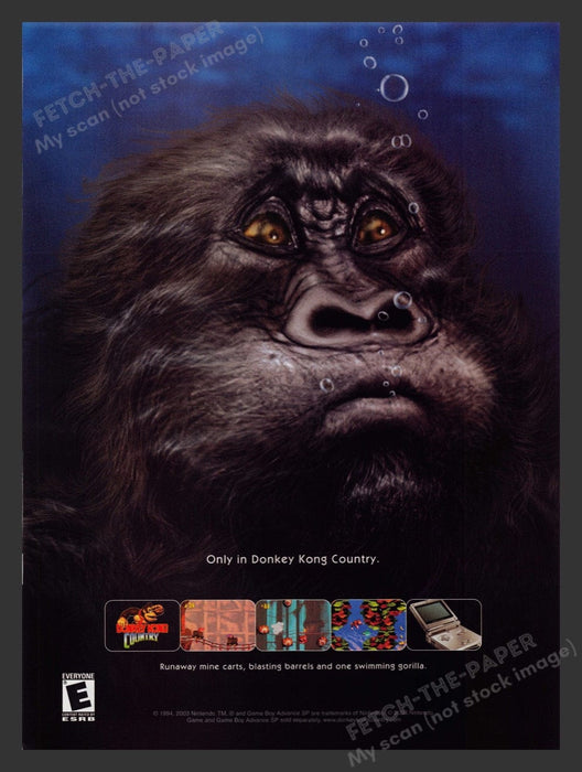 2003 Donkey Kong Country Video Game Print Advertisement