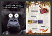 1994 Donkey Kong: Country Video Game Print Advertisement (2 Pgs)