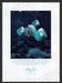 2003 H2O Aquafirm Night Cream Jellyfish Ocean Print Advertisement Ad