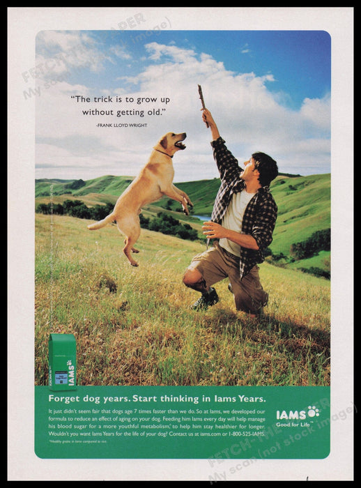 Iams Dog Food  2000s Print Advertisement Ad 2003 Fetch the Paper!