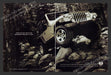 2002 Jeep Wrangler Rubicon Rock Terrain Print Advertisement (2 pages).