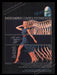 L'eggs Sheer Energy Hosiery 1980s Print Advertisement Ad 1982 Legs All Day Long Fetch the Paper!